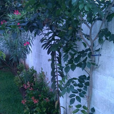 Umaya Holiday Home Anuradhapura Kültér fotó