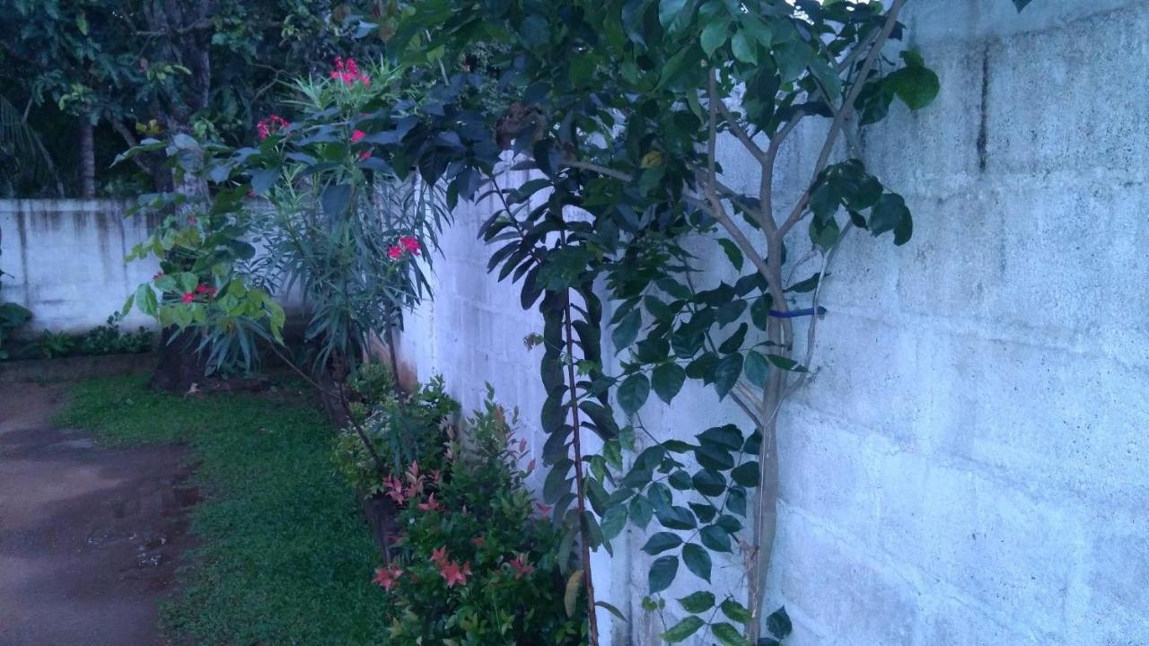 Umaya Holiday Home Anuradhapura Kültér fotó